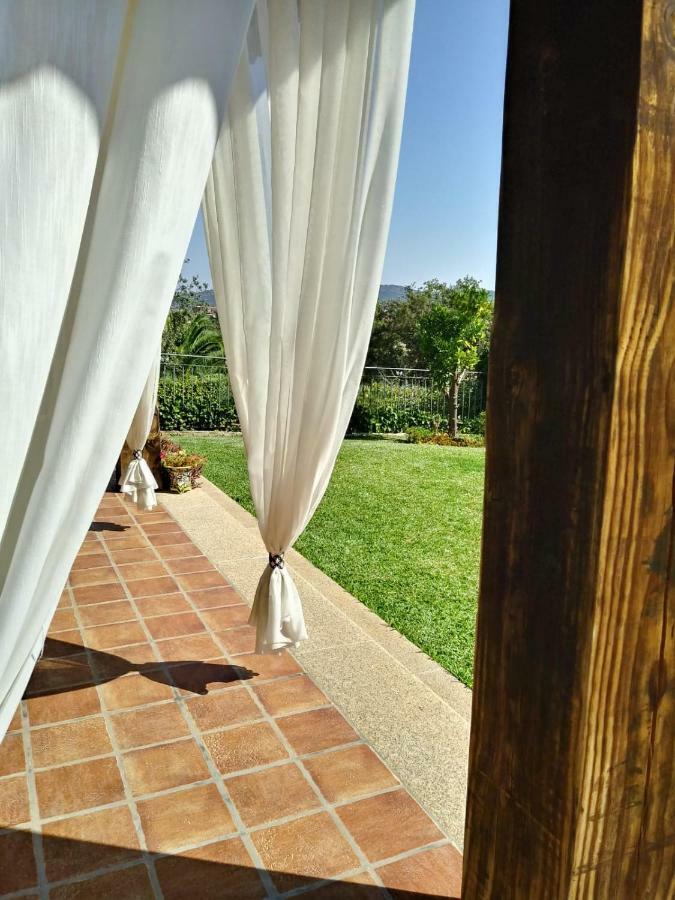 Гостьовий будинок Jardin De La Yedra Касерес Екстер'єр фото